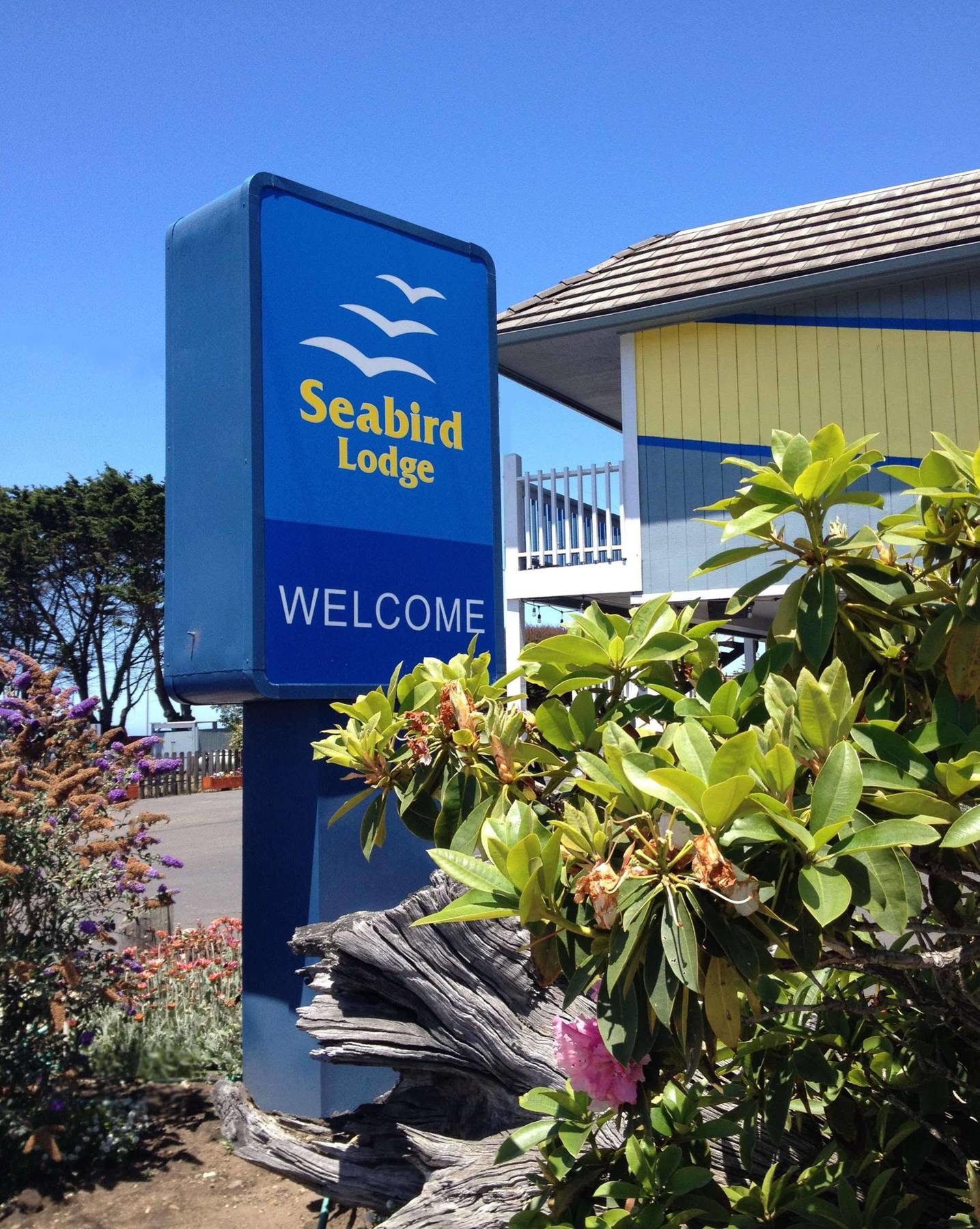 Seabird Lodge Fort Bragg Kültér fotó